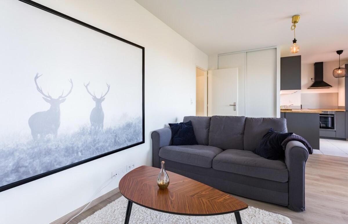 Le Rio, Appartement Avec Terrasse & Parking Rennes Kültér fotó